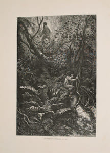 La Guyane française. Notes et souvenirs d'un voyage exécuté en 1862-1863