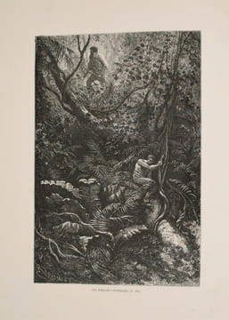 La Guyane française. Notes et souvenirs d'un voyage exécuté en 1862-1863. Frédéric BOUYER , Gaston RIOU