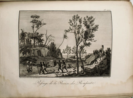 Voyage dans les quatre principales îles des mers d'Afrique fait par ordre du Gouvernement pendant les années neuf et dix de la république avec ...