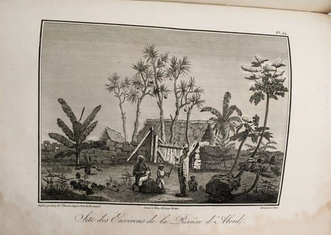 Voyage dans les quatre principales îles des mers d'Afrique fait par ordre du Gouvernement pendant les années neuf et dix de la république avec ...
