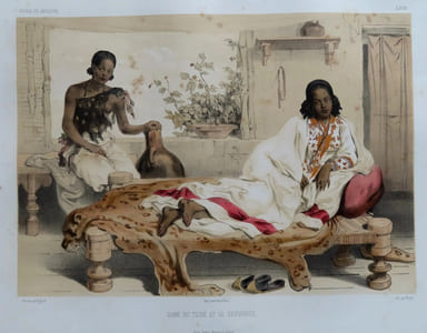 Voyage en Abyssinie exécuté pendant les années 1839, 1840, 1841, 1842, 1843 par une commission scientifique composée de MM. Théophile Lefebvre lieutenant de vaisseau, A. Petit et Quartin Dillon docteurs médecins naturalistes du muséum, Vignaud dessinateur. Publié par ordre du Roi