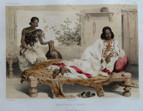 Voyage en Abyssinie exécuté pendant les années 1839, 1840, 1841, 1842, 1843 par une commission scientifique composée de MM. Théophile Lefebvre ...