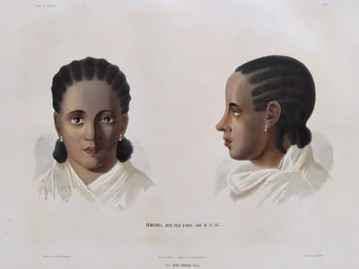 Voyage en Abyssinie exécuté pendant les années 1839, 1840, 1841, 1842, 1843 par une commission scientifique composée de MM. Théophile Lefebvre lieutenant de vaisseau, A. Petit et Quartin Dillon docteurs médecins naturalistes du muséum, Vignaud dessinateur. Publié par ordre du Roi