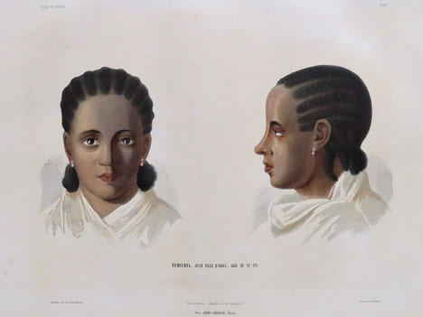 Voyage en Abyssinie exécuté pendant les années 1839, 1840, 1841, 1842, 1843 par une commission scientifique composée de MM. Théophile Lefebvre ...
