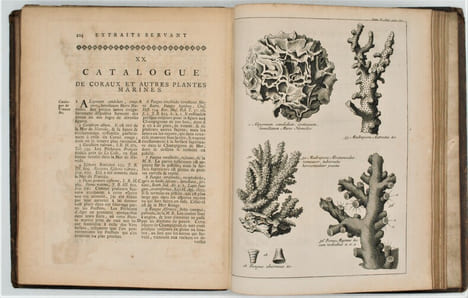 Voyages dans plusieurs provinces de la Barbarie et du Levant : contenant des observations géographiques, physiques, physiologiques et mêlées sur les ...