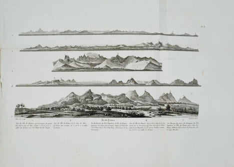 Voyage pittoresque à l'Île-de-France, au cap de Bonne-Espérance et à l'île de Ténériffe. . MILBERT (Jacques-Gérard).
