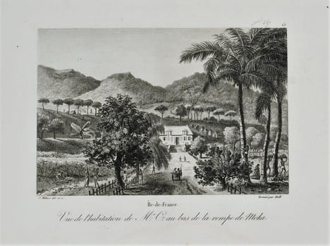 Voyage pittoresque à l'Île-de-France, au cap de Bonne-Espérance et à l'île de Ténériffe. . MILBERT (Jacques-Gérard).