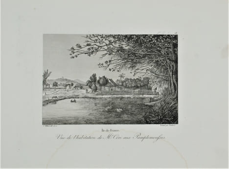 Voyage pittoresque à l'Île-de-France, au cap de Bonne-Espérance et à l'île de Ténériffe. . MILBERT (Jacques-Gérard).
