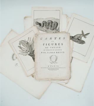 Voyage en Nubie et en Abyssinie, entrepris pour découvrir les sources du Nil, Pendant les années 1768, 1769, 1770, 1771 & 1772. . BRUCE (James) 