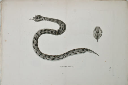 Voyage en Nubie et en Abyssinie, entrepris pour découvrir les sources du Nil, Pendant les années 1768, 1769, 1770, 1771 & 1772.