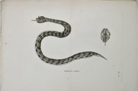 Voyage en Nubie et en Abyssinie, entrepris pour découvrir les sources du Nil, Pendant les années 1768, 1769, 1770, 1771 & 1772. . BRUCE (James) 