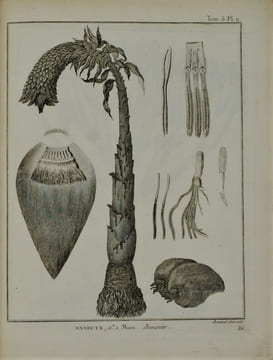 Voyage en Nubie et en Abyssinie, entrepris pour découvrir les sources du Nil, Pendant les années 1768, 1769, 1770, 1771 & 1772. . BRUCE (James)