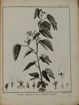 Voyage en Nubie et en Abyssinie, entrepris pour découvrir les sources du Nil, Pendant les années 1768, 1769, 1770, 1771 & 1772. . BRUCE (James)