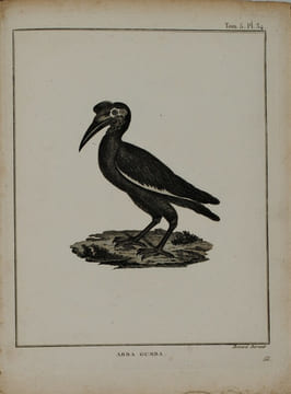 Voyage en Nubie et en Abyssinie, entrepris pour découvrir les sources du Nil, Pendant les années 1768, 1769, 1770, 1771 & 1772. . BRUCE (James)