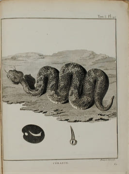Voyage en Nubie et en Abyssinie, entrepris pour découvrir les sources du Nil, Pendant les années 1768, 1769, 1770, 1771 & 1772. . BRUCE (James)