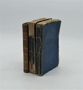 Voyage commercial et politique aux Indes orientales, aux Iles Philippines, à la Chine, avec des notions sur la Cochinchine et le Tonquin pendant les années 1803, 1804, 1805, 1806 et 1807 ,