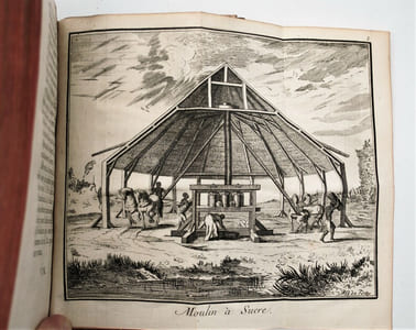 Histoire de la Jamaïque, Traduite de l'Anglois. Par M. *** [Joseph Raulin], ancien Officier de Dragons.
