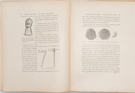 D'Alger au Congo par le Tchad : Documents scientifiques de la Mission saharienne, mission Foureau-Lamy / par F. Foureau ; (préf. de M. Grandidier)