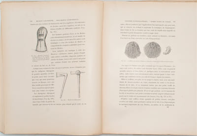 D'Alger au Congo par le Tchad : Documents scientifiques de la Mission saharienne, mission Foureau-Lamy / par F. Foureau ; (préf. de M. Grandidier)
