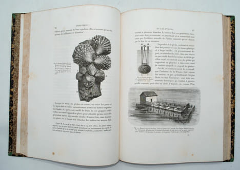 Voyage d'exploration sur le littoral de la France et de l'Italie ,suivie de nouveaux documents sur les pêches fluviales et marines, publiée par ordre ...