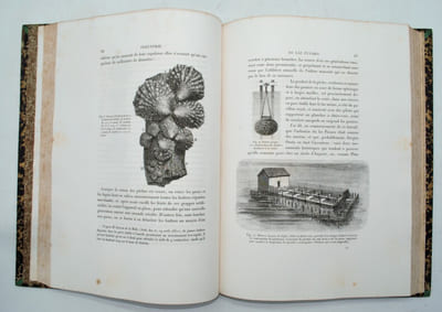 Voyage d'exploration sur le littoral de la France et de l'Italie ,suivie de nouveaux documents sur les pêches fluviales et marines, publiée par ordre de S. M. l'Empereur.
