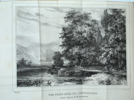 Voyage en Suède, contenant des notions étendues sur le commerce, l'industrie, l'agriculture, les mines, les sciences, les arts et la littérature de ce ...