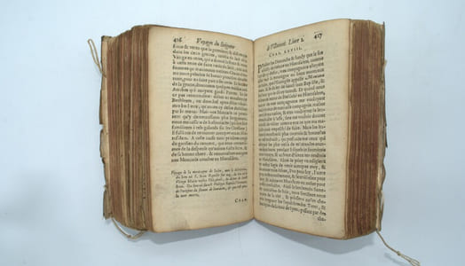 Les voyages du seigneur de Villamont, chevalier de l'Ordre de Hierusalem , divisez en trois livres ...