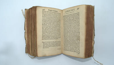 Les voyages du seigneur de Villamont, chevalier de l'Ordre de Hierusalem , divisez en trois livres ...