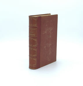 Voyage autour du monde par le comte de Beauvoir. Australie - Java - Siam - Canton - Pekin - Yeddo- San Francisco.