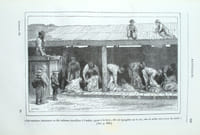 Voyage autour du monde par le comte de Beauvoir. Australie - Java - Siam - Canton - Pekin - Yeddo- San Francisco.