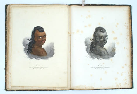 Promenade autour du monde, pendant les années 1817, 1818, 1819 et 1820, sur les corvettes du roi l'Uranie et la Physicienne, commandées par M. ...