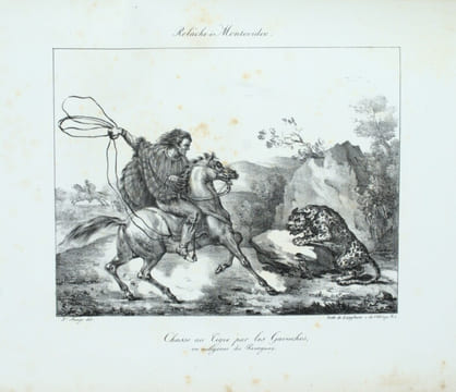 Promenade autour du monde, pendant les années 1817, 1818, 1819 et 1820, sur les corvettes du roi l'Uranie et la Physicienne, commandées par M. ...