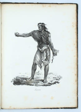Promenade autour du monde, pendant les années 1817, 1818, 1819 et 1820, sur les corvettes du roi l'Uranie et la Physicienne, commandées par M. ...