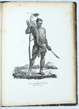 Promenade autour du monde, pendant les années 1817, 1818, 1819 et 1820, sur les corvettes du roi l'Uranie et la Physicienne, commandées par M. ...