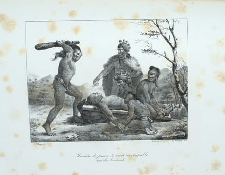 Promenade autour du monde, pendant les années 1817, 1818, 1819 et 1820, sur les corvettes du roi l'Uranie et la Physicienne, commandées par M. ...
