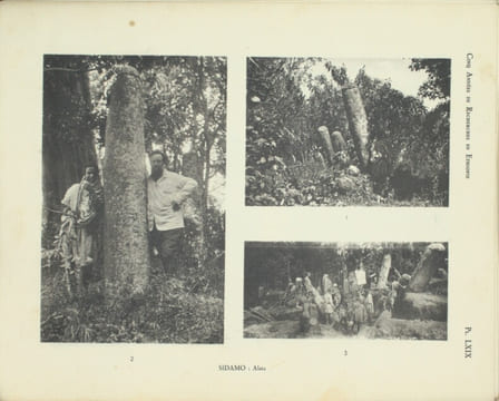Cinq années de recherches archéologiques en Éthiopie, province du Harar et Éthiopie méridionale, ATLAS . AZAÏS (R.P. François) , CHAMBARD (Roger)
