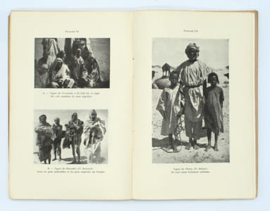 Mission scientifique du Fezzan . Hydrogéologie de la cuvette fezzanaise .Géographie humaine . Biologie végétale du Fezzan
