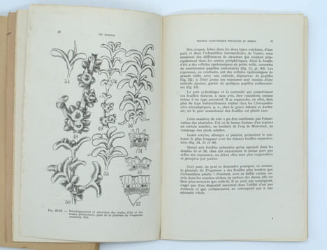 Mission scientifique du Fezzan . Hydrogéologie de la cuvette fezzanaise .Géographie humaine . Biologie végétale du Fezzan
. KILLIAN (Charles), ...