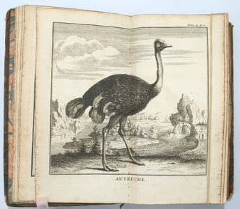 Nouvelle relation de l'Afrique Occidentale : contenant une description exacte du Sénégal & des païs situés entre le Cap-Blanc & la rivière de Serrelionne, jusqu'à plus de 300 lieues en avant dans les terres. L'histoire naturelle de ces païs, les différentes nations qui y sont répandues, leurs religions & leurs mœurs. TOME 2