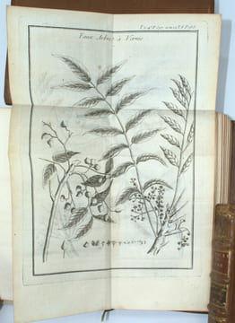 Histoire et Description Generale du Japon; ou l'on trouvera tout ce qu'on a pu apprendre da la nature & des Productions du Pays, du Caractere & des ...