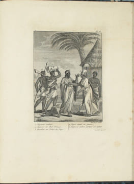 Voyage au Sénégal, ou Mémoires historiques, philosophiques et politiques sur les découvertes, les établissemens et le commerce des Européens dans les ...