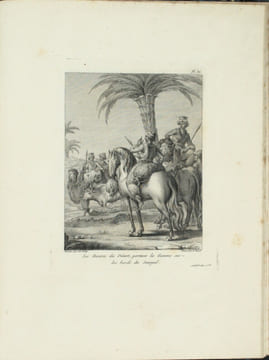 Voyage au Sénégal, ou Mémoires historiques, philosophiques et politiques sur les découvertes, les établissemens et le commerce des Européens dans les ...