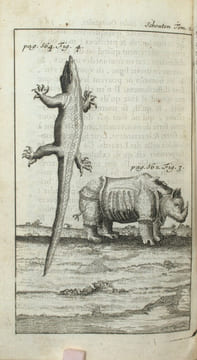 Voyage de G. Schouten aux Indes Orientales commencé l'an 1658, fini l'an 1665 , Tome 2 seul. SCHOUTEN (Gautier).