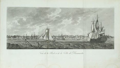Voyage a Surinam et dans l'intérieur de la Guiane, contenant la relation de cinq années de courses et d'observations faites dans cette contrée ...