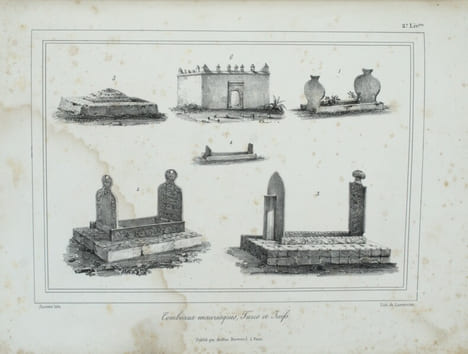 Voyage dans la Régence d’Alger, ou description du pays occupé par l’armée française en Afrique; contenant des observations sur la géographie physique, ...