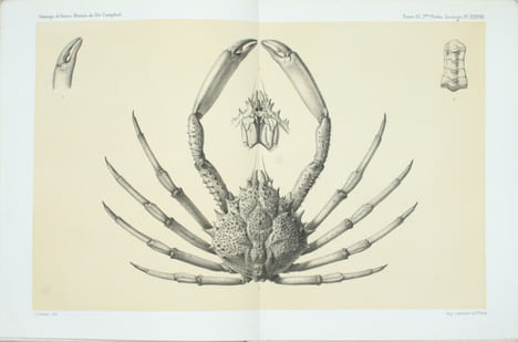 Recueil de Mémoires, Rapports et Documents relatifs a l'Observation du Passage de Venus Sur Le Soleil . INSTITUT DE FRANCE, Académie des sciences