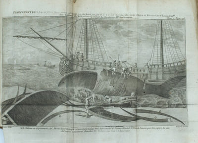 Voyage autour du Monde, et vers les deux Pôles, pendant les années 1767, 1768, 1769, 1770, 1771, 1773, 1774 & 1776.

