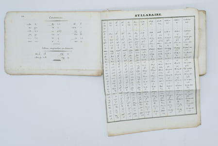 Dictionnaire Français-Tamoul et Tamoul-Français, dédié à Monsieur le Ministre de la Marine par A. Blin lieutenant des Cypahis, membre de la Société asiatique de Paris