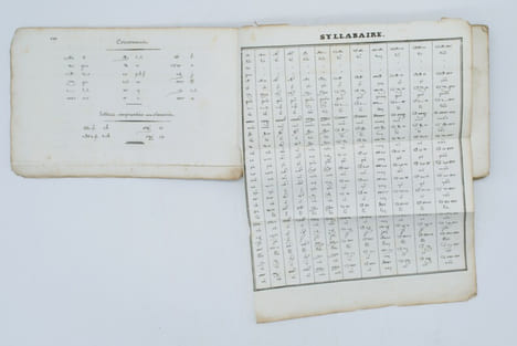 Dictionnaire Français-Tamoul et Tamoul-Français, dédié à Monsieur le Ministre de la Marine par A. Blin lieutenant des Cypahis, membre de la Société ...