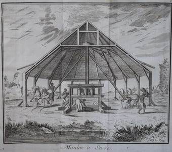 Histoire de la Jamaïque